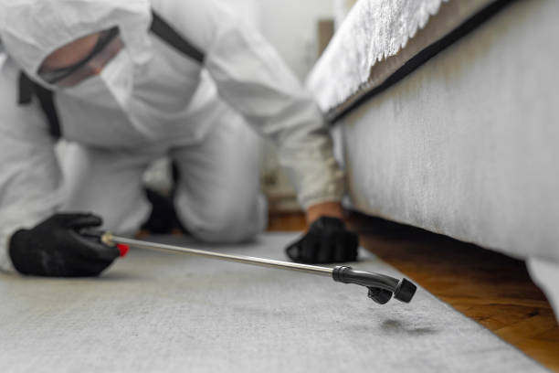 Professional Wasp Control technician working in Shark River Hills, NJ