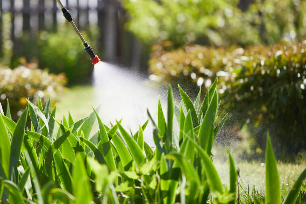 24/7 Emergency Mosquito Control experts in Shark River Hills, NJ