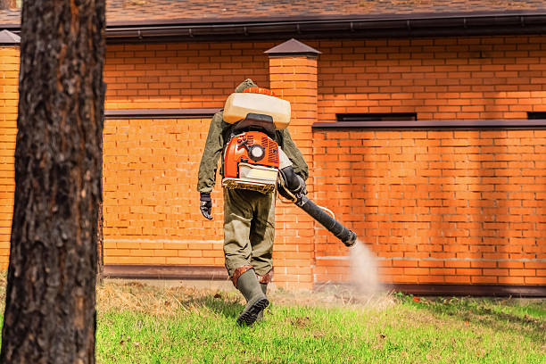 Trusted Ant Control service in Shark River Hills, NJ - Nex Pest Control